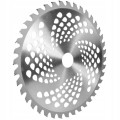 08207d64f2e1e83f9ccbb9d032484e45.jpg