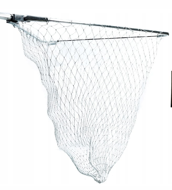 9075d2ddf7157ee65e628308e9e976b5.jpg